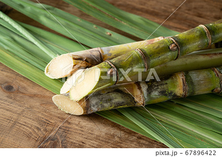 沖縄県産サトウキビ 沖縄県産サトウキビ 67896422