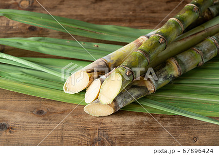 沖縄県産サトウキビ 67896424