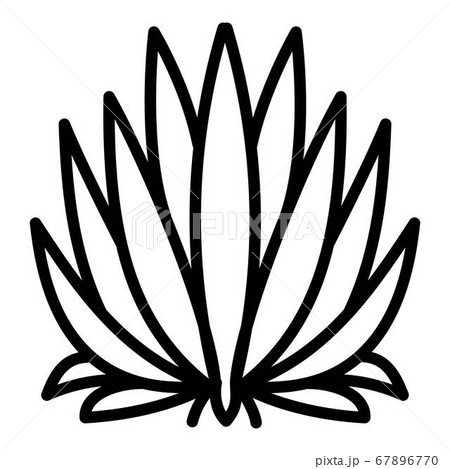Succulent icon, outline style Succulent icon, outline style 67896770
