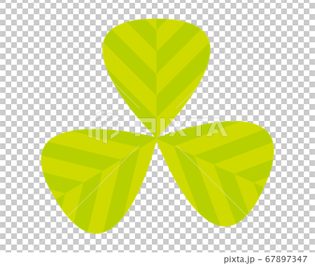 Vector illustration of colorful clover Three leaf clover 67897347