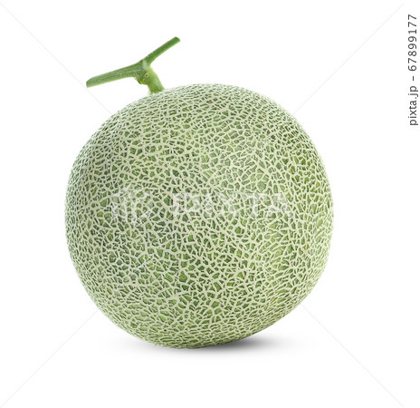 cantaloupe melon on white background 67899177