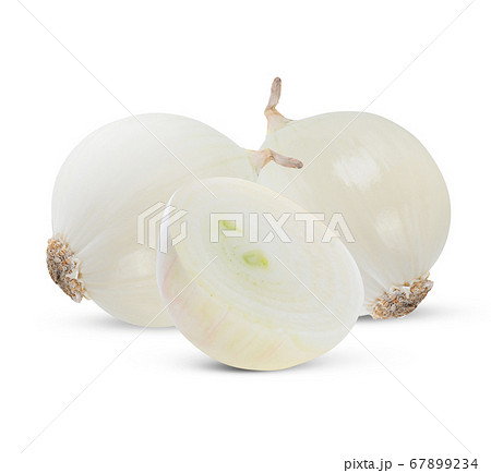 white onion on white background. 67899234