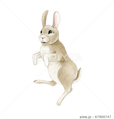 Hand Made Toy 1. Watercolor Creepy Rabbit Stock Photo, Picture and Royalty  Free Image. Image 69977492.