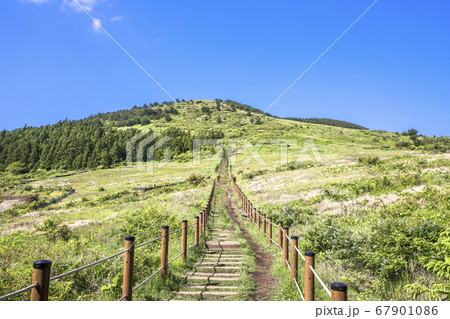 済州 青空 春 67901086