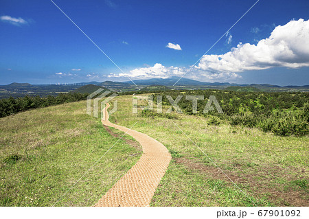 済州 青空 春 67901092