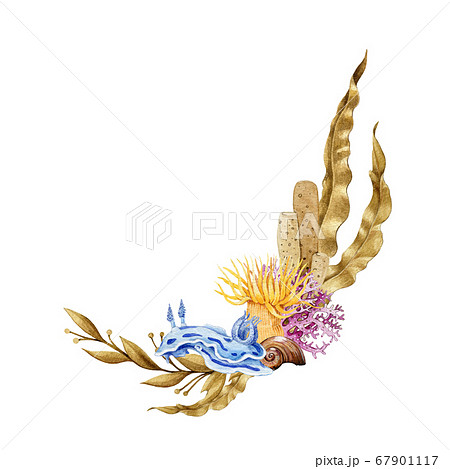 Bright Corals And Coral Reef Life Arrangement のイラスト素材