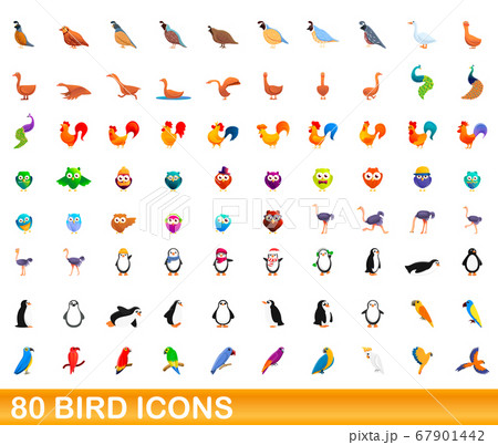 80 bird icons set, cartoon style 80 bird icons set, cartoon style 67901442