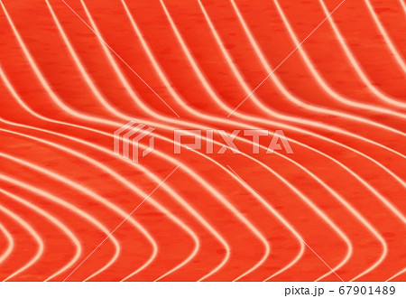 Salmon fish meat background fillet texture pattern 67901489