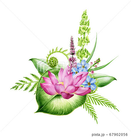 Flower arrangement with lotus and fern leaves. 67902056