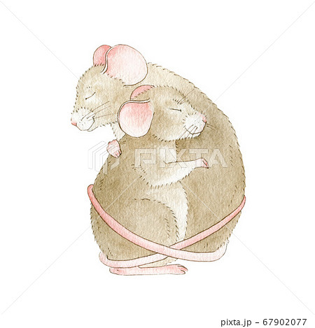 Two sweet little mice watercolor illustration. Two sweet little mice watercolor illustration. 67902077