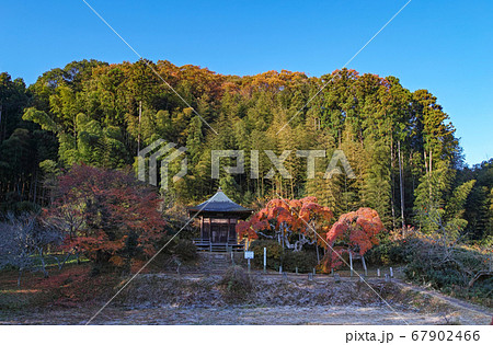 福島県/ 国指定天然記念物 「中釜戸のシダレモミジ 」の紅葉 福島県/ 国指定天然記念物 「中釜戸のシダレモミジ 」の紅葉 67902466