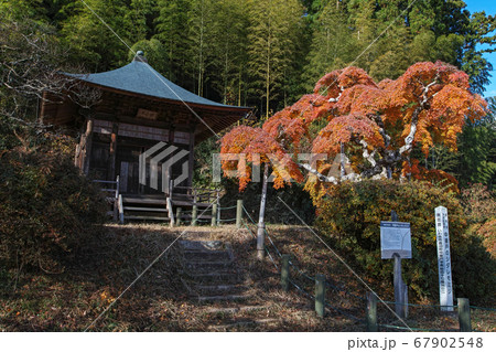 福島県/ 国指定天然記念物 「中釜戸のシダレモミジ 」の紅葉 67902548
