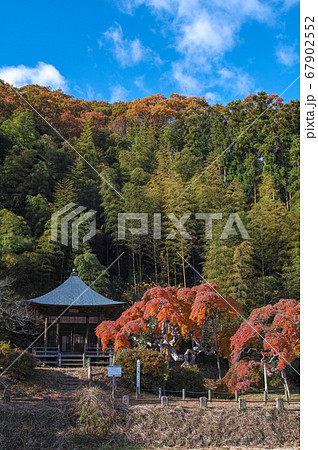 福島県/ 国指定天然記念物 「中釜戸のシダレモミジ 」の紅葉 福島県/ 国指定天然記念物 「中釜戸のシダレモミジ 」の紅葉 67902552