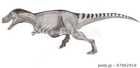 ティラノサウルス レックス 体毛ありのイラスト素材