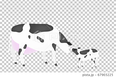 Illustration of mother and calf greeting greeting Transparent background 67903225