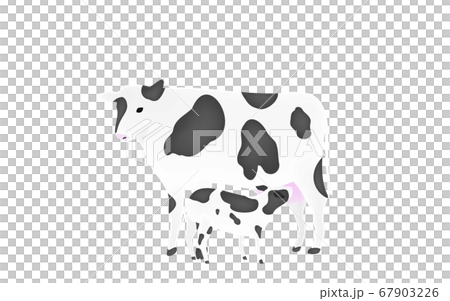 Illustration of a calf sucking milk from a mother Transparent background 67903226