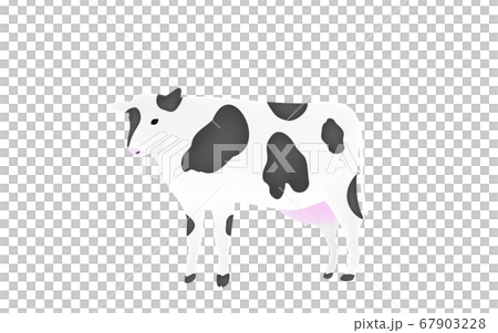 牛站立直立的透明背景的插圖 牛站立直立的透明背景的插圖 67903228