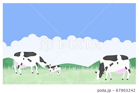 放牧される牛たちのイラスト　夏の牧場で 67903242