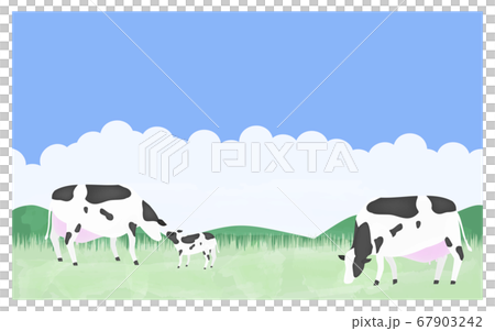 放牧される牛たちのイラスト　夏の牧場で 67903242