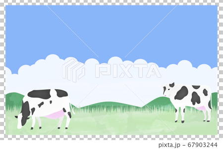 放牧される牛たちのイラスト 夏の牧場でのイラスト素材