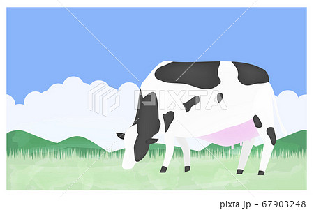 草を食べる牛のイラスト　夏の牧場で 67903248