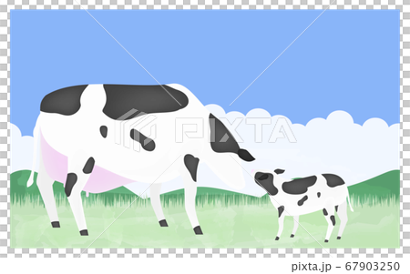 挨拶をする母牛と子牛のイラスト　夏の牧場で 67903250
