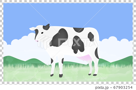 まっすぐ立つ牝牛のイラスト 夏の牧場でのイラスト素材