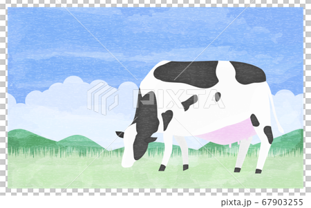 Illustration of a cow eating grass on a summer ranch Illustration of a cow eating grass on a summer ranch 67903255