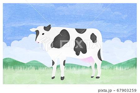まっすぐ立つ牝牛のイラスト　夏の牧場で 67903259