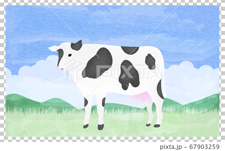 まっすぐ立つ牝牛のイラスト　夏の牧場で 67903259