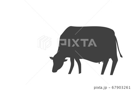 草を食べる牛のシルエットイラストのイラスト素材