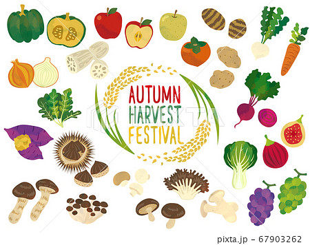 秋の収獲 野菜と果物イラスト素材のイラスト素材