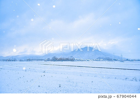 木 雪 玉ボケの写真素材