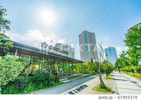 東京の都市風景 豊洲周辺の風景 67905570