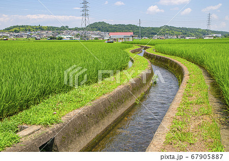 滋賀県の田園風景 67905887