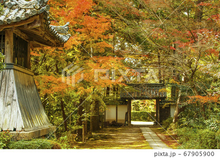 京都の紅葉の名所 龍潭寺 京都亀岡観光スポット 京都三龍寺 明智光秀ゆかりの地 の写真素材