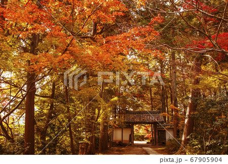 京都の紅葉の名所 龍潭寺 京都亀岡観光スポット 京都三龍寺 明智光秀ゆかりの地 の写真素材