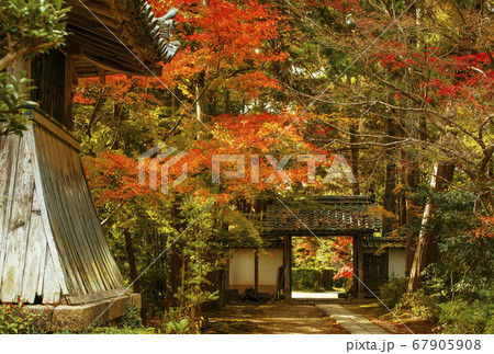 京都の紅葉の名所　龍潭寺　京都亀岡観光スポット　京都三龍寺　明智光秀ゆかりの地　 67905908