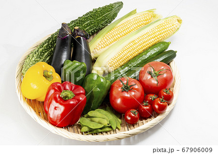 夏野菜_果菜_トマト_ナス_キュウリ_ピーマン_トウモロコシ_ゴーヤ_枝豆 67906009