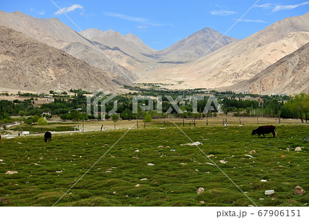 ラダックの風景 ラダックの風景 67906151