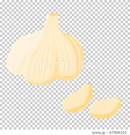 大蒜 大蒜 67906202