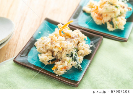 小鉢料理 おからの煮物 小鉢料理 おからの煮物 67907108