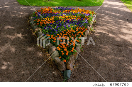 beautiful flowerbed in the shape of a drop of bright garden flowers beautiful flowerbed in the shape of a drop of bright garden flowers 67907769