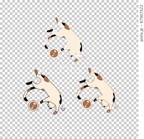 満腹な三毛猫のイラストのイラスト素材