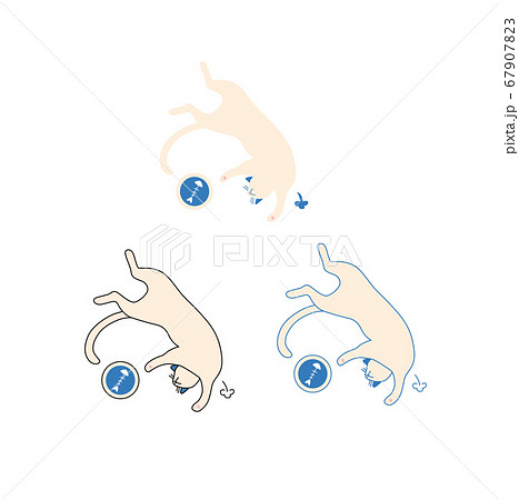 満腹な白猫のイラストのイラスト素材