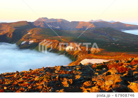 高根ヶ原とトムラウシ_緑岳より_大雪山系の山 67908746