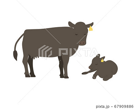牛の親子のイラスト 黒毛和牛のイラスト素材