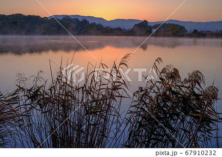 紅葉と水上池の朝(奈良県奈良市佐紀町) 紅葉と水上池の朝(奈良県奈良市佐紀町) 67910232