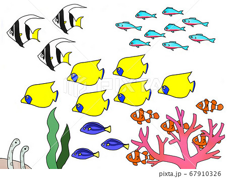熱帯魚の群れ背景透過 67910326
