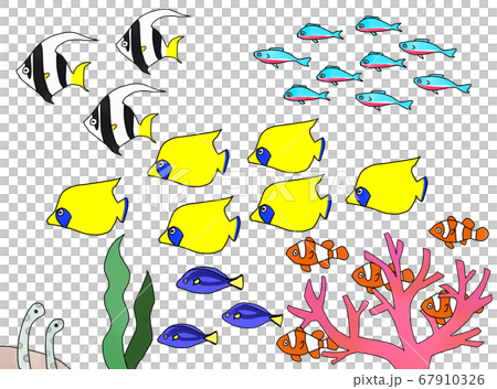 熱帯魚の群れ背景透過のイラスト素材